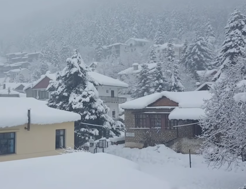 Φανταστικές εικόνες! Η Ελάτη Τρικάλων «πνιγμένη» στα χιόνια (Vid)